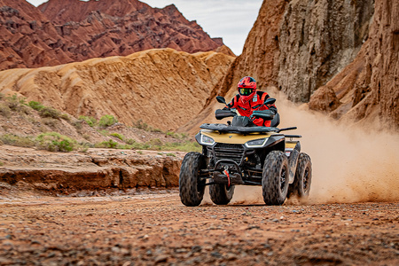 SEGWAY AT10 WL MUD T3b L7e