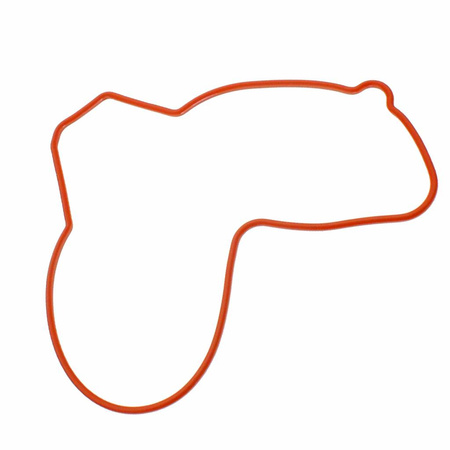 USZCZELKA POKRYWY MAGNETA POLARIS SPORTSMAN 570 5415086