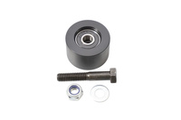 BEARING WORX 2022/12 Chain Roller Kit (79-5014)