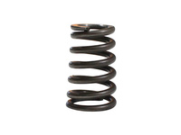 SPRĘŻYNA ZAWOROWA SFA1000