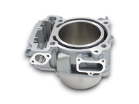 CYLINDER TYLNY SFA1000