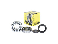 ŁOŻYSKA WAŁU KORBOWEGO Z USZCZELNIACZAMI SUZUKI LT 250 R QUADRACER '88-'92