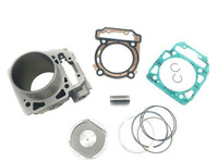 CYLINDER ODES 1000 TYLNY KOMPLETNY 21050401201-KIT