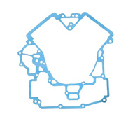 USZCZELKA SILNIKA ODES 1000 21050301601