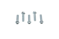 ACCEL 2023/08 ŚRUBA KOŁNIERZOWA M8X30MM Z WKLĘSŁYM ŁBEM BEZ OZNACZEŃ (5 SZT.)