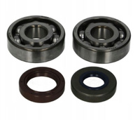 ATHENA 2023/01 BEARING AND SEAL KIT MINARELLI AM METAL CAGE KOYO 6303/C3 Crankshaft Rebuilding Kit: Bearing and Oil Seal Kit