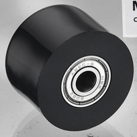 ACCEL ROLKA ŁAŃCUCHA Z ŁOŻYSKAMI ŚR. 41XH28MM