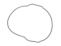 NAMURA USZCZELKA POKRYWY SPRZĘGŁA (ORING) YAMAHA YZF 450 '10-'17, WRF 450 '16-'17 (ZEWNĘTRZNA) (OEM-33D-15453-00-00)