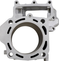 CYLINDER SILNIKA KAWASAKI TERYX 800 TERYX4 800