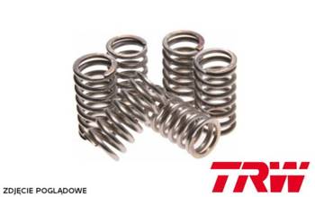 TRW LUCAS SPRĘŻYNY SPRZĘGŁOWE YAMAHA WRF 450 16-17, YZF 450 08-09, MT-07 700 14-17, TRACER 700 16-20, XSR 700 16-20, YFM 700 RAPTOR 06-12, TDM 900 02-14, FZR 1000 89-95, FZS 1000 FAZER 01-05, GTS 1000 93-99, YZF 1000 R THUNDR ACE 96-02, (EBS037)