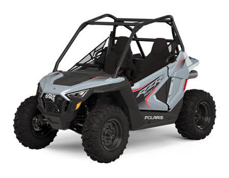 POLARIS RZR 200