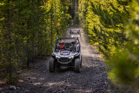 POLARIS RZR 200